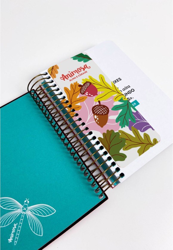 Axenda 2026 Pequena Diaria Ei Carballeira