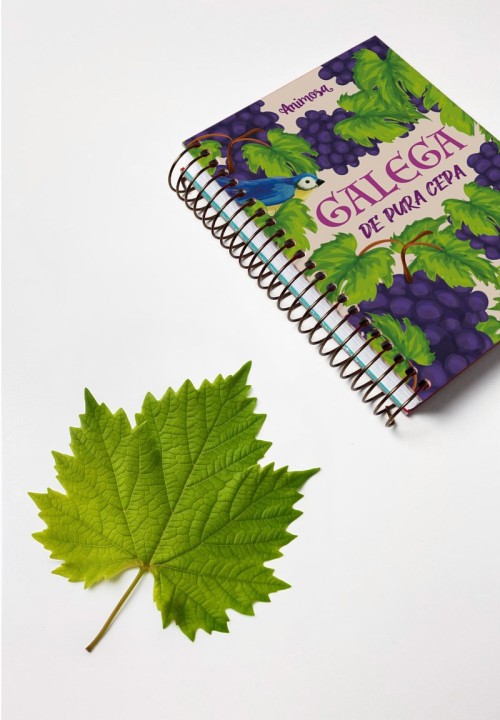 Caderno A6 Galega
