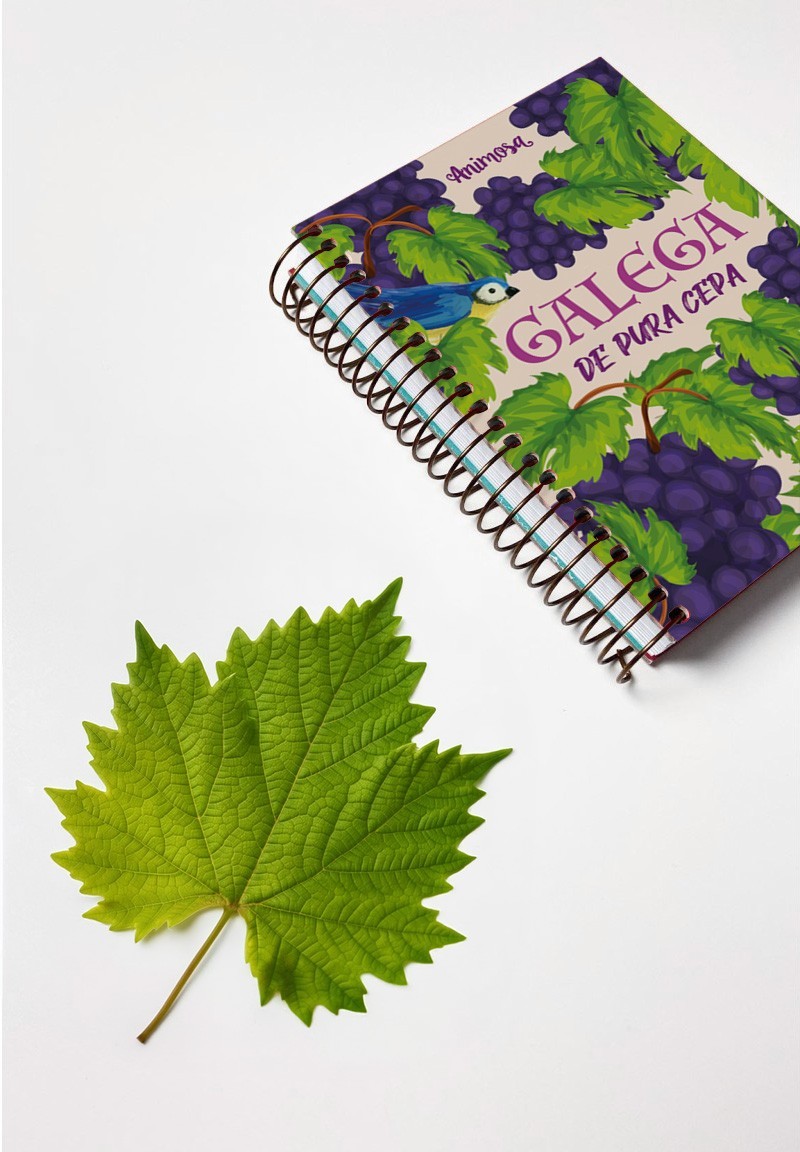 Caderno Din A6 Galega de pura cepa espiral | Animosa