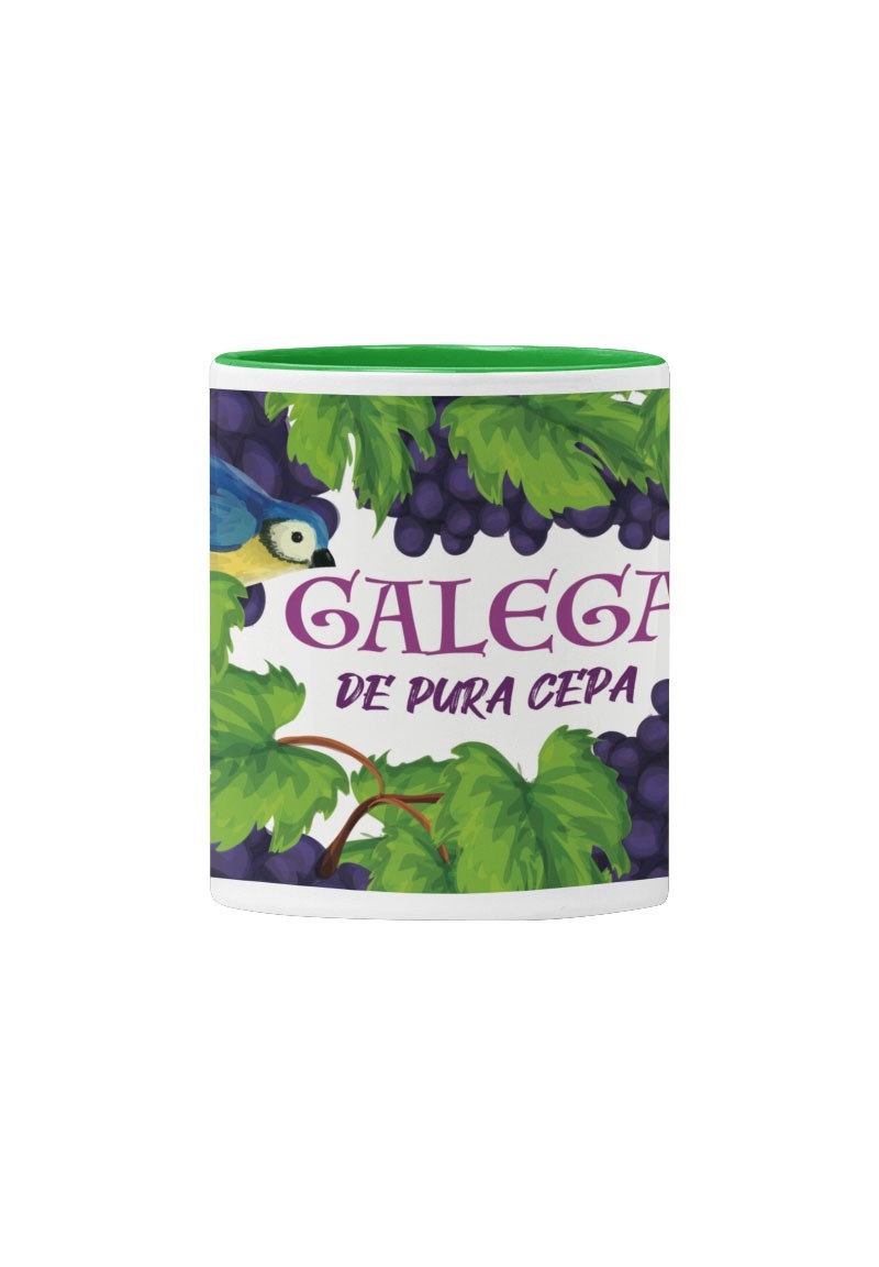 Cunca «Galega de pura cepa» interior verde | Animosa