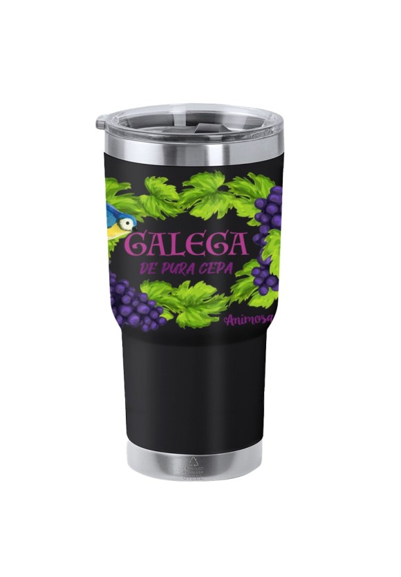 Vaso Galega