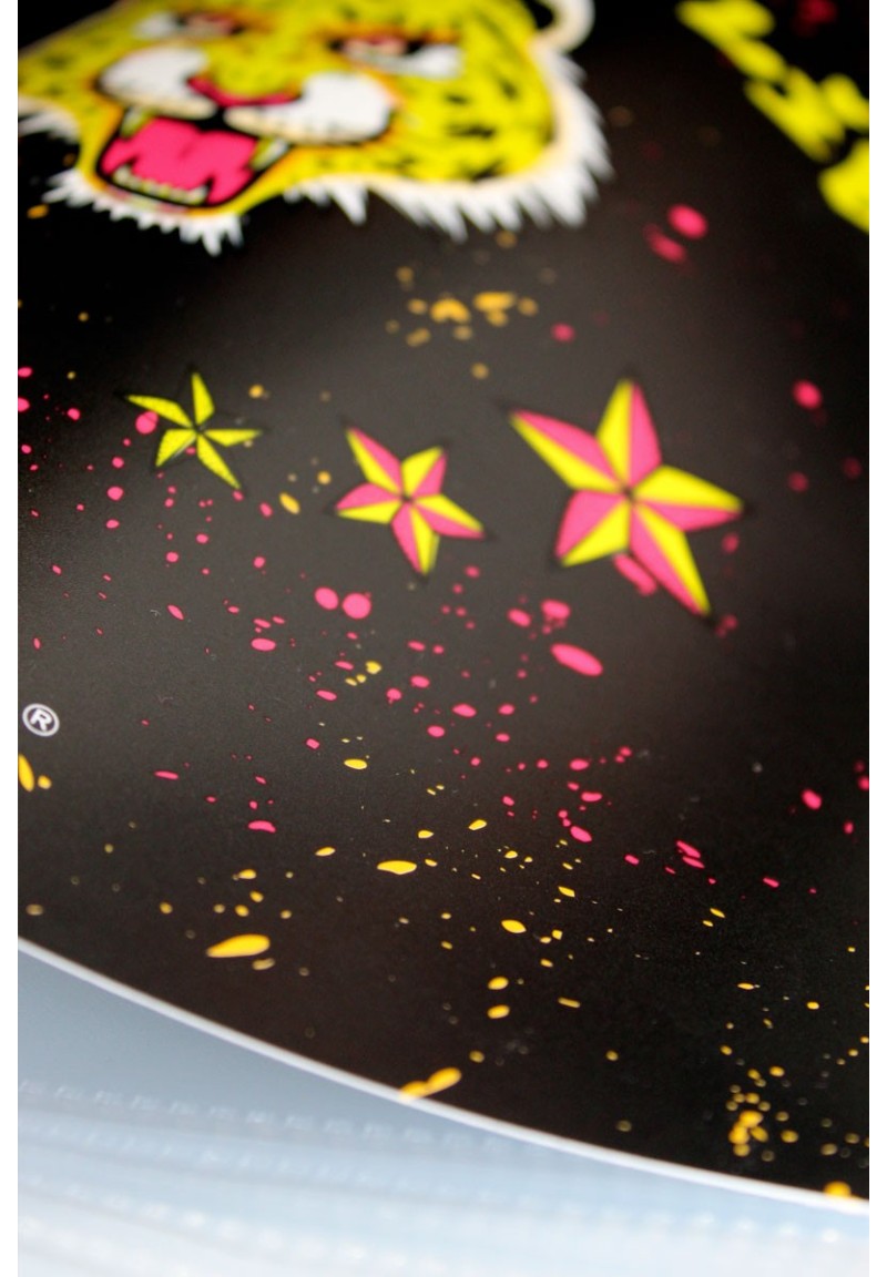 Carpeta de fundas Graffiti