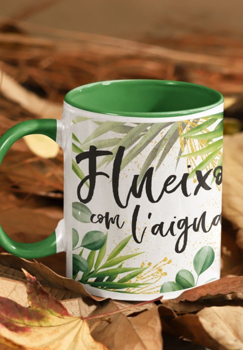Tassa Flueixo com l’aigua