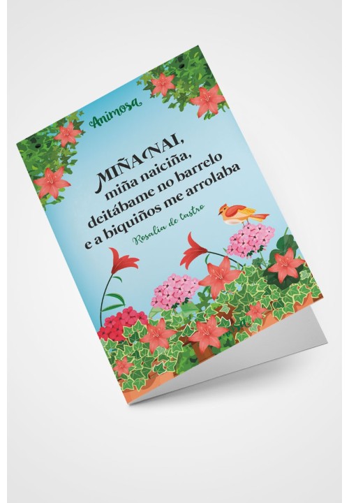Tarxeta Miña naiciña