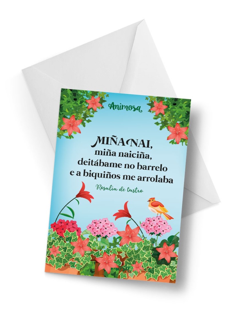 Tarxeta Miña naiciña