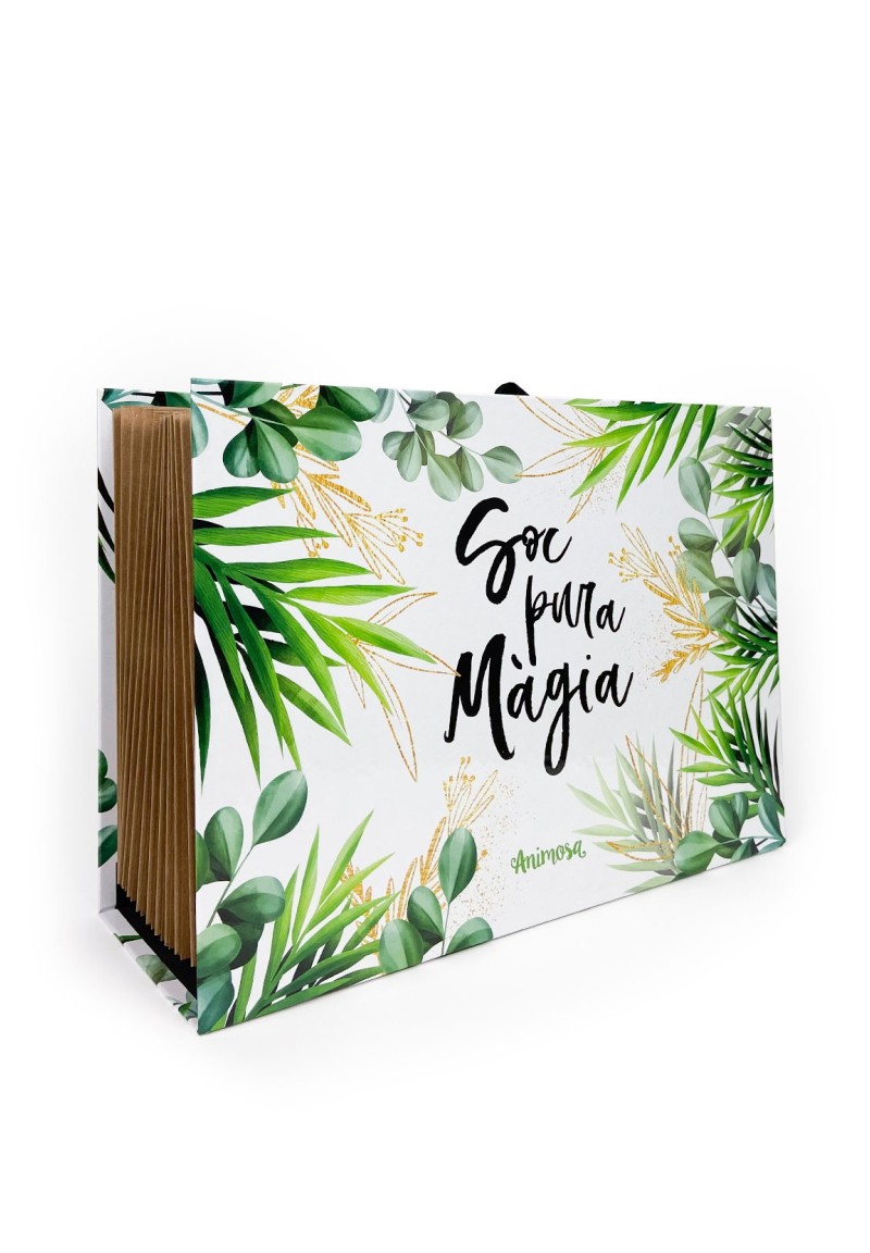 Carpeta acordió Sóc Pura Màgia