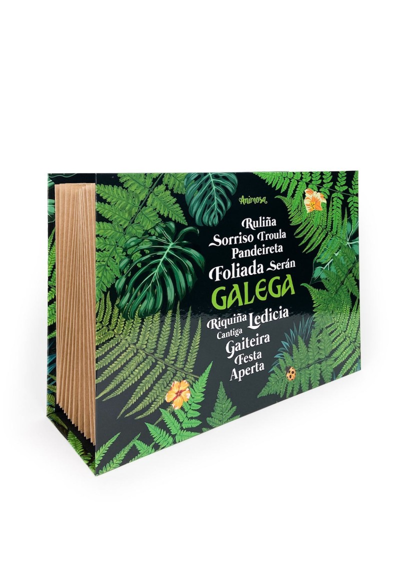 Cartafol acordeón Galega
