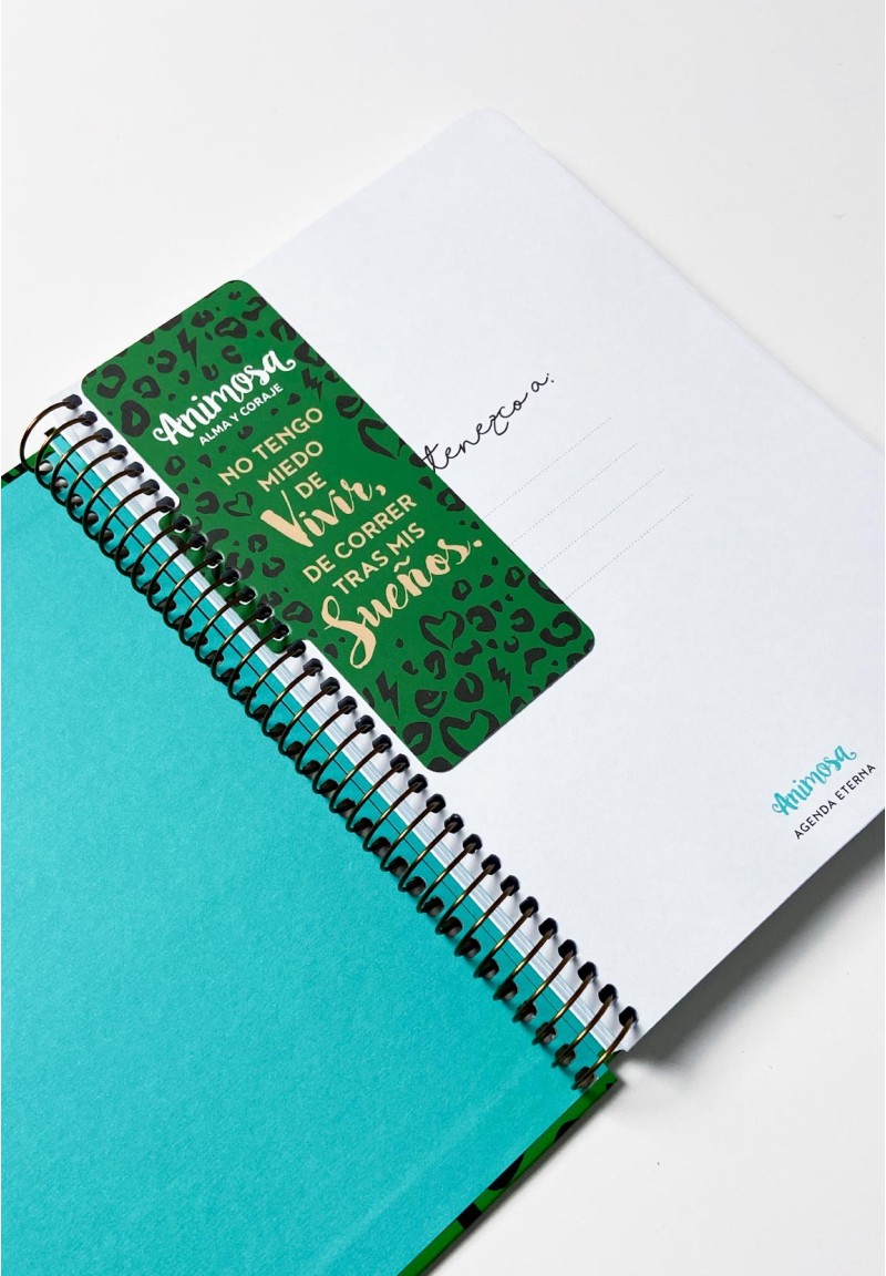 Agenda Sin fecha A5 Castellano