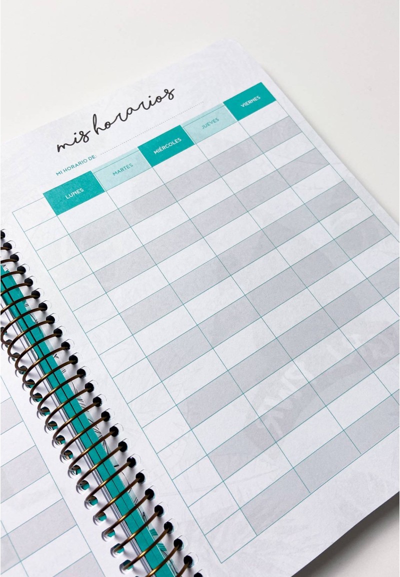 Agenda Sin fecha A5 Castellano