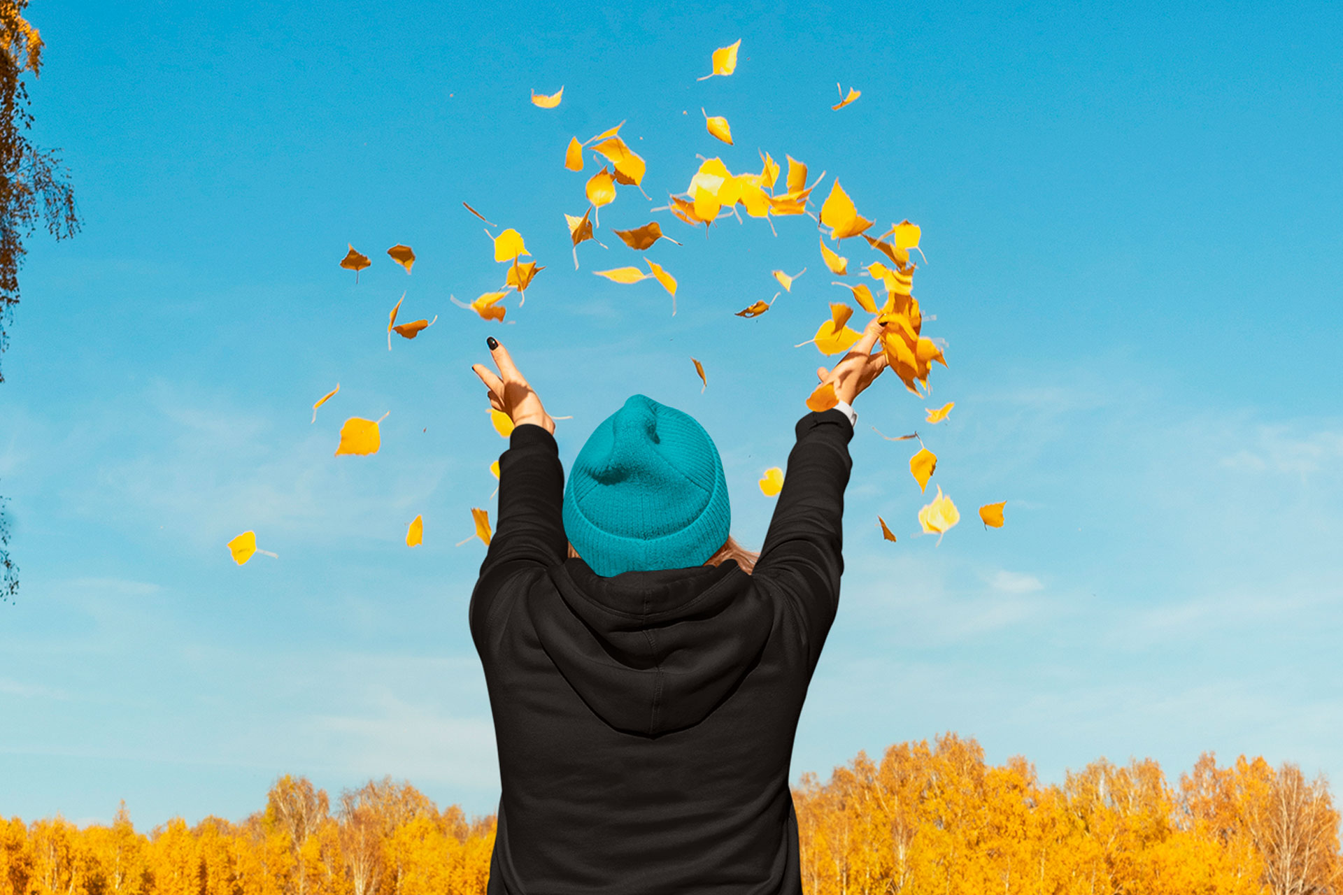 5 DESTINOS PARA VIAJAR EN OTOÑO